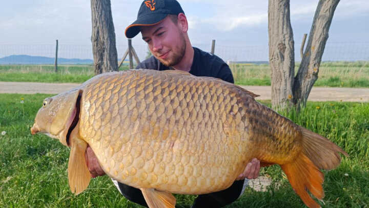 Čaro krátkych vychádzok