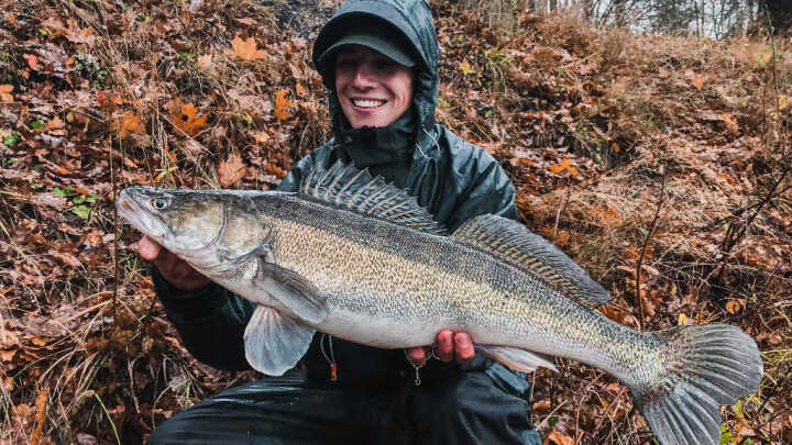 RECEPT NA CANDÁTY #1