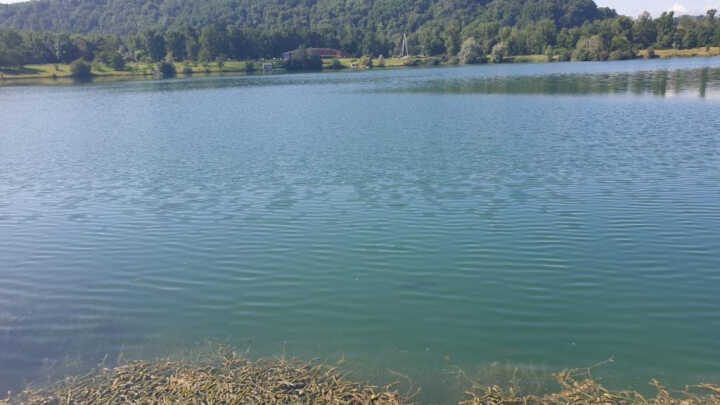 Un leviatan francés