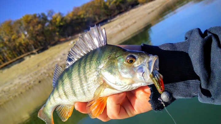 Труден старт на сезона!