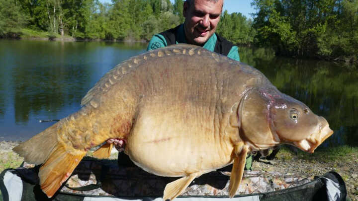 Grandes peces con el carpfishing