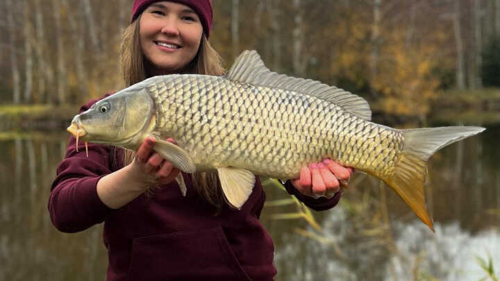 Listopadowy karp z powierzchni!