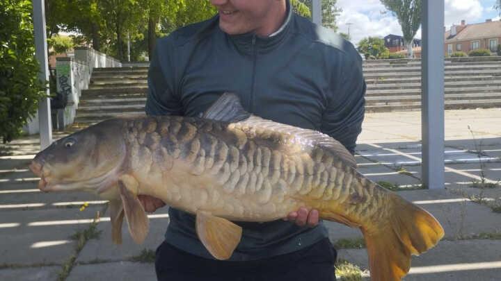 Mi sesión exprés por Valladolid