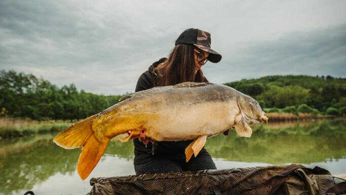Egy igazán pörgős nap