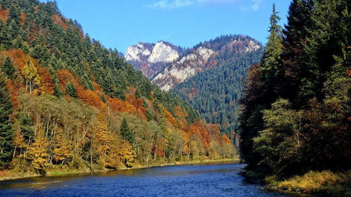 Fly Fishing on the Dunajec river 