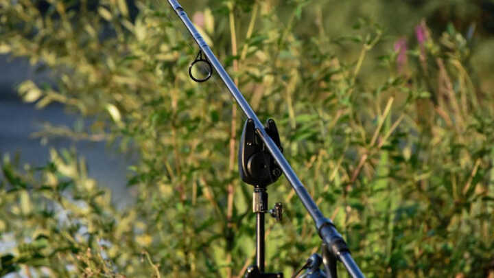 Statyw czy podpórki?