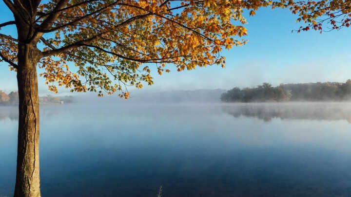 Sen o královně vodní říše