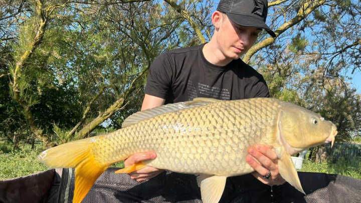 Csongi Tavak - Ahol a Light Feeder Felértékelődik