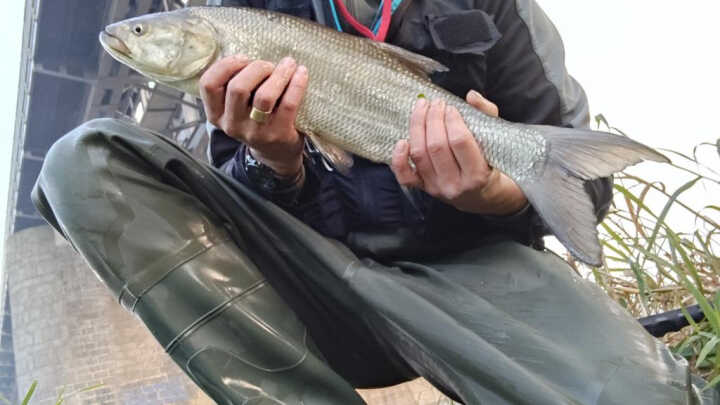 Deník jednoho rybáře