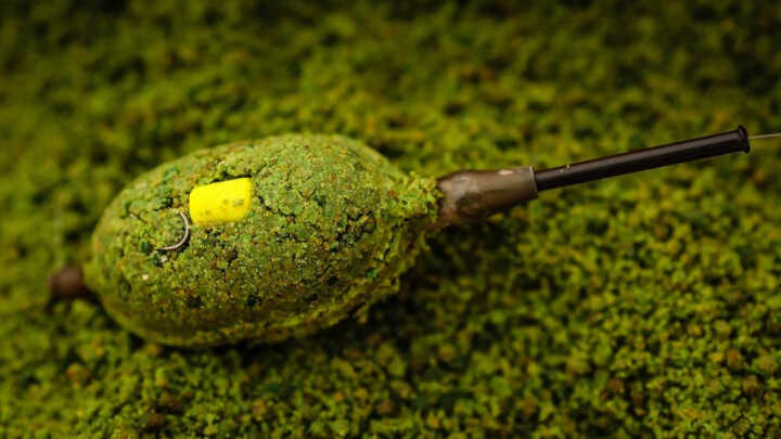 How to Boost Your Method Feeder Setup