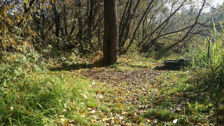 Odpadky v přírodě a na rybách | Rybo.cz