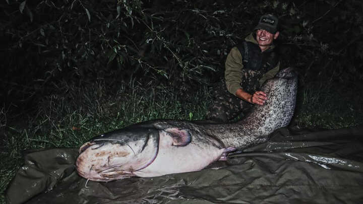 Sumcařské příběhy - "Sumec roku"