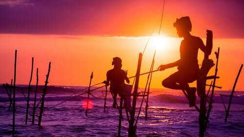 stilt fishing in srilanka