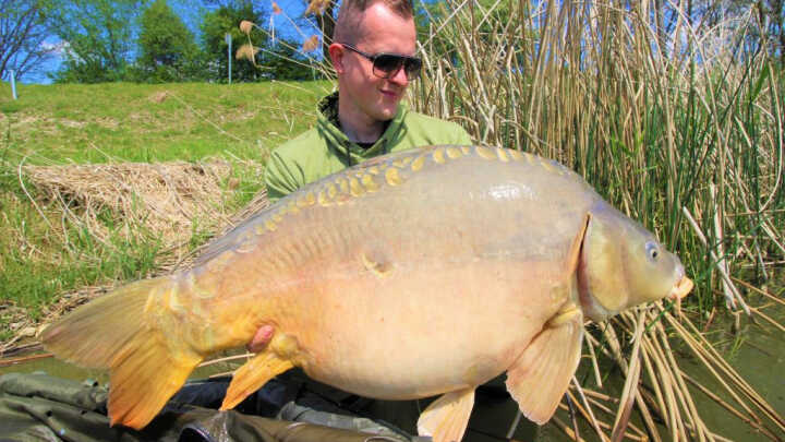 Mohutný lysec z první jarní výpravy