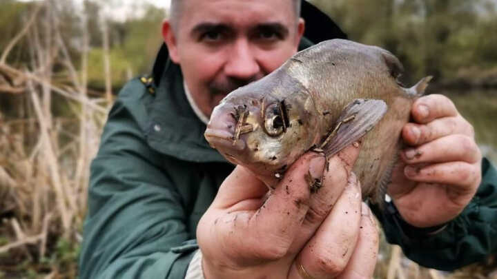 Первая тренировка