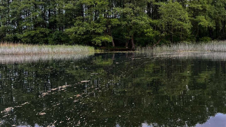 Wędkarskie wyzwania - cz. II