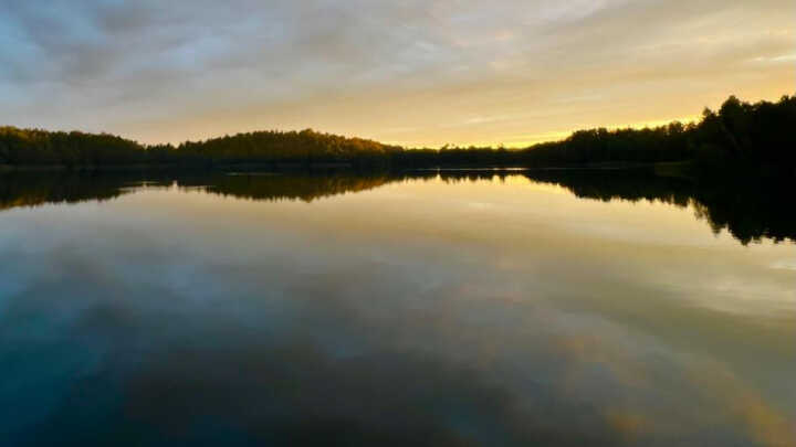 Różnorodność ciężarków karpiowych – cz. II.