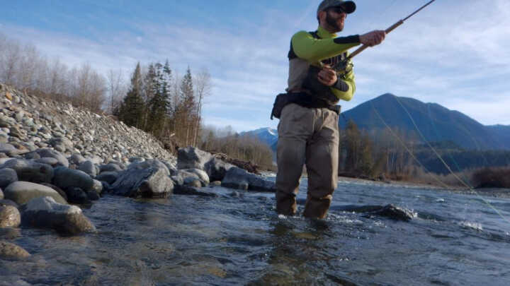 Leden 2018 Hon na ocelovou hlavu
