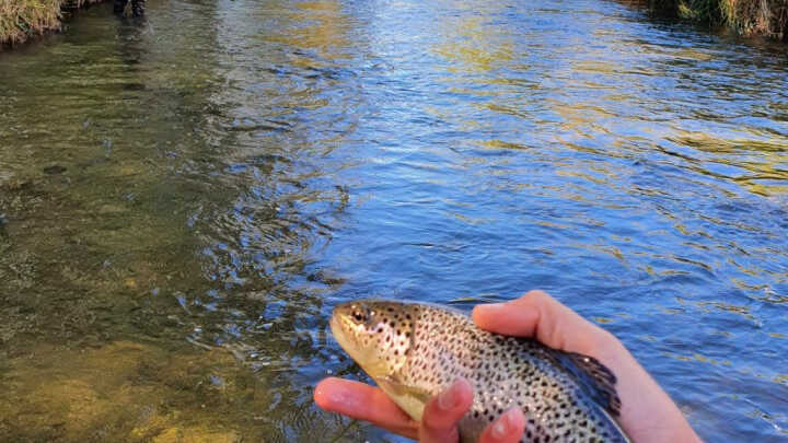 UN TRAMO DE INFARTO 05/10/2020