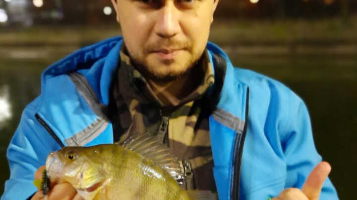 Street Fishing in Bucharest