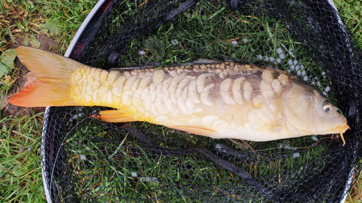 Za Sportovními Revíry 12 - Dušičková výprava v areálu Rybolov Havelka ORCA