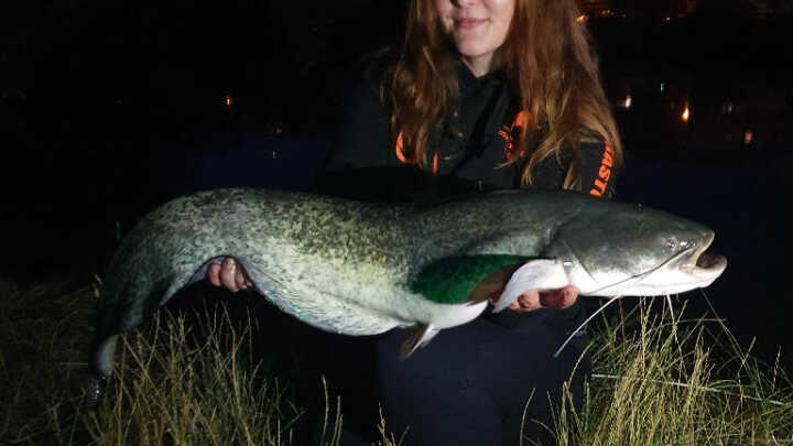 Sumcařina od začátku