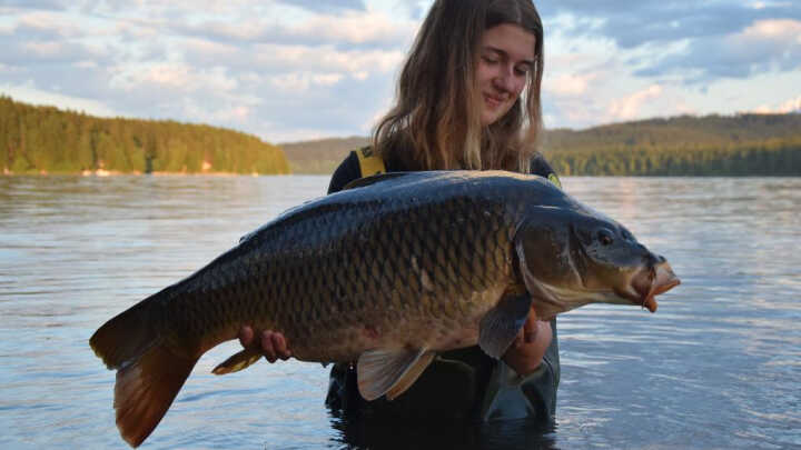 Úspěšné Lipno II.