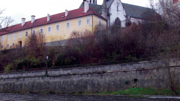 Muškařské vzpomínky VII. Střípky po letech