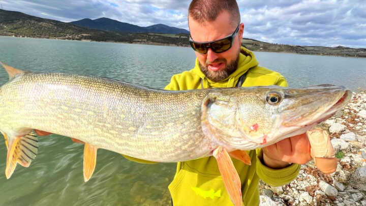 ПРИМАМКИТЕ ИМАТ ЗНАЧЕНИЕ