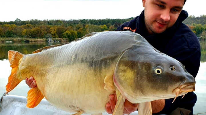 Hétvégi peca az Arizóna horgásztón