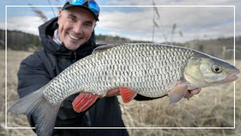 Wiosenne klenie na chleb