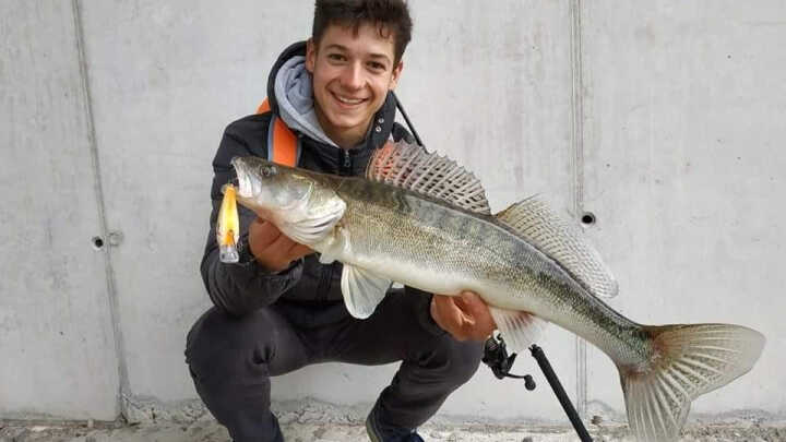 Crankbaits for big perch