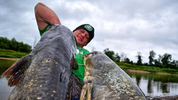 Sumy spod ludzkiej ręki?