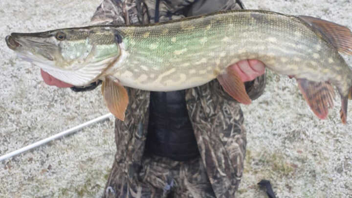 pike fishing!