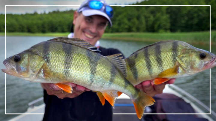 Dlaczego małe przynęty?