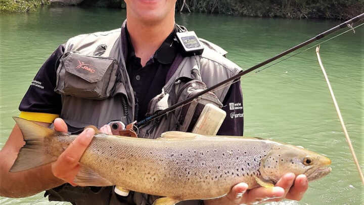 EL SALTO DEL GIGANTE - 09/08/2020