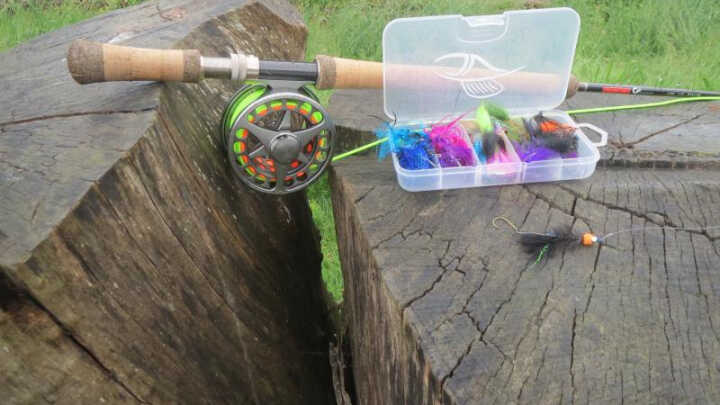 Kanadský deník 2017 / 05 Květen / @mdx