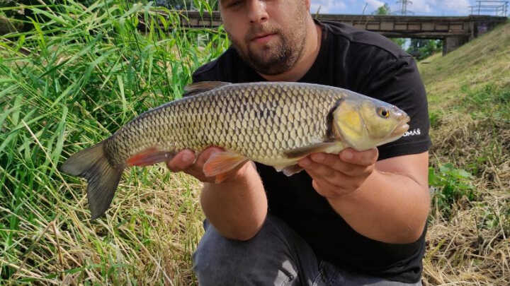 Chytáme na mlaskačku na řekách