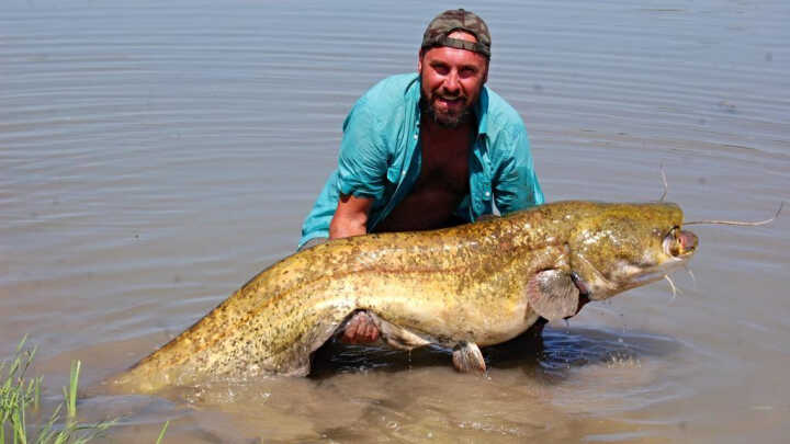 Hi to all! So where to the catfish?