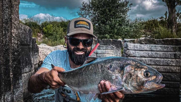 Ano 2022 o ano das novas Espécies!!