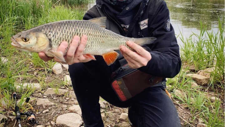 Wychodzony tygodniami