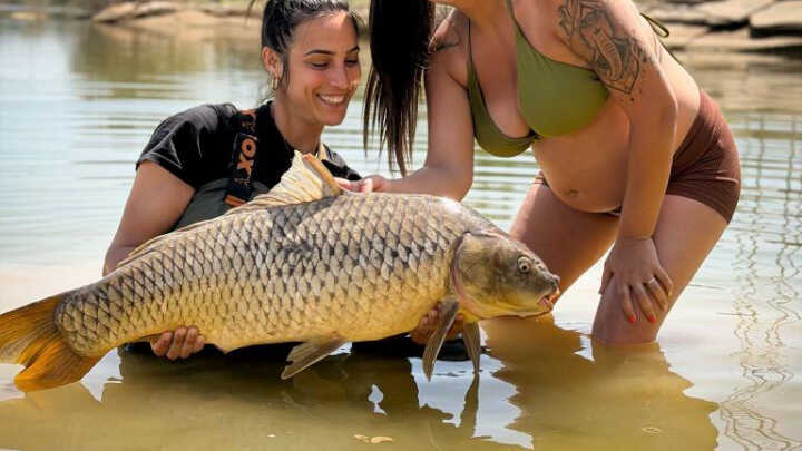 EBRO Y NUEVA ETAPA