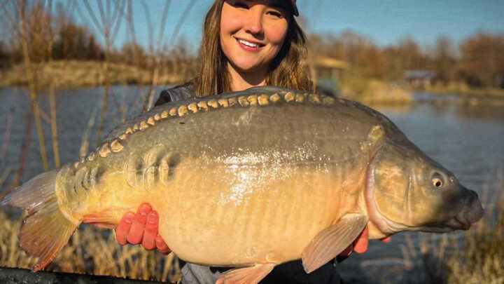 Szybkie, wiosenne karpie.