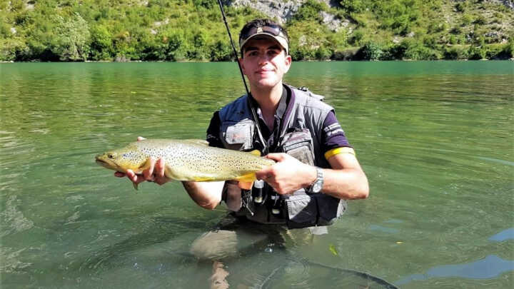 LOS MONSTRUOS EN SUPERFICIE