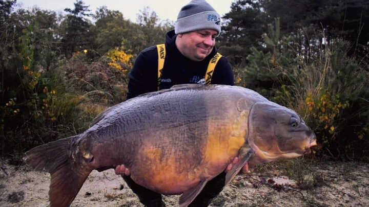 Efektywne łowienie karpia na kał