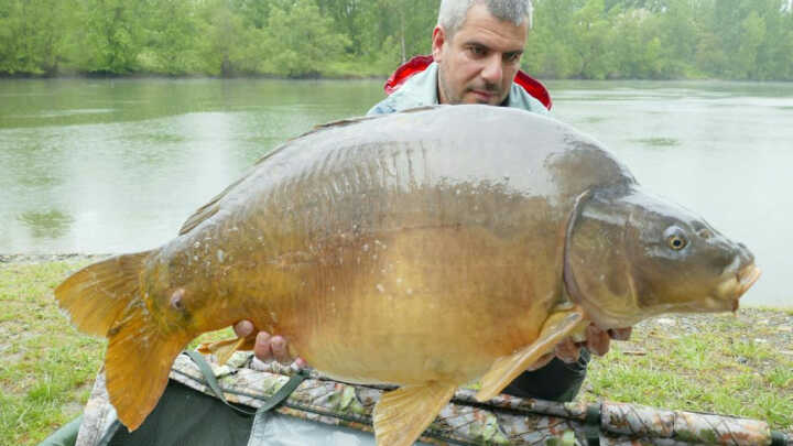 El carpfishing una passion