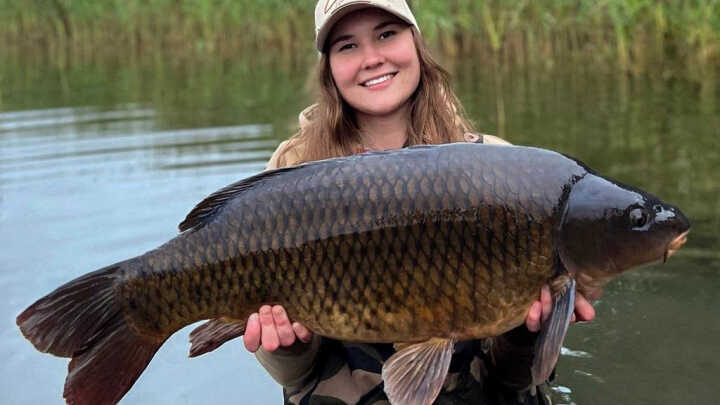 Karpie uczą sztuki czekania