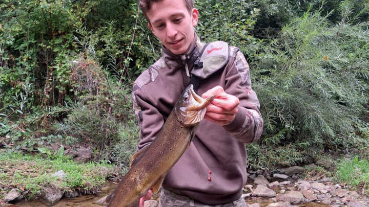 la mia FARIO da record