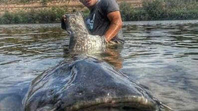 Ebro River fishing adventure