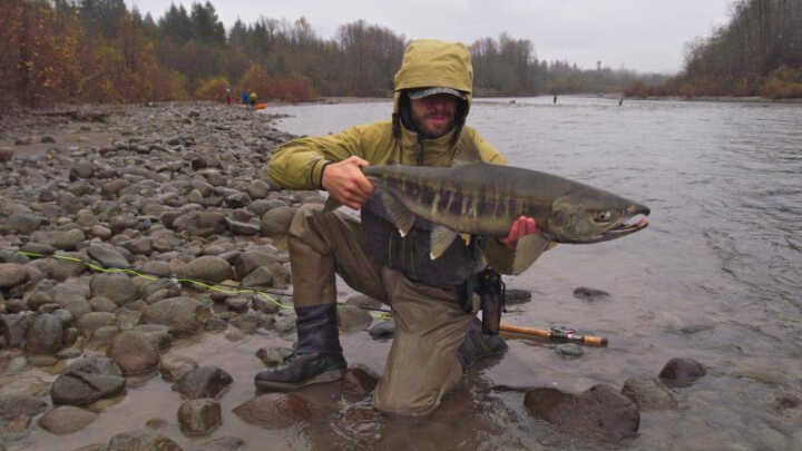 Kanadský deník 2017 / 10 Říjen / @mdx